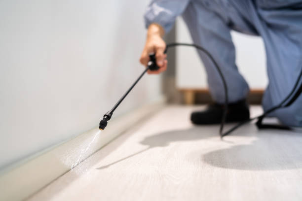 Certified termite inspector examining foundation in Carthage