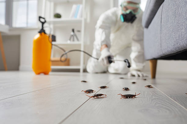 Commercial Rodent Management in Carthage